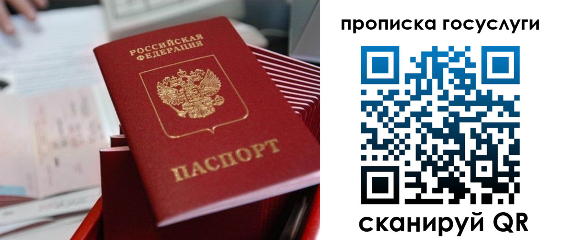 прописка законно в Каргате